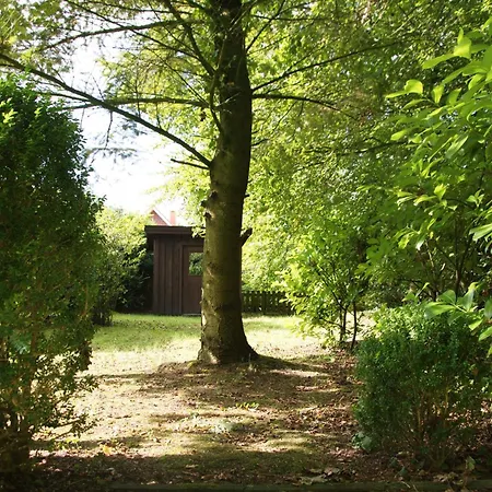 Σπίτι διακοπών Haus Theene *